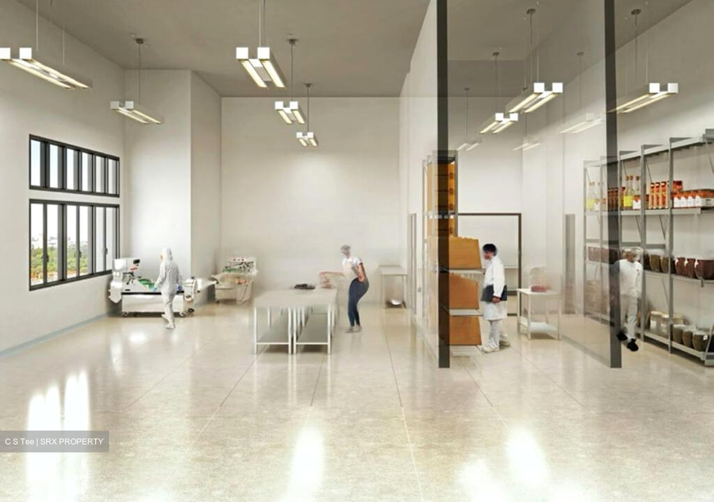 Ct Foodnex (D25), Factory #481605821